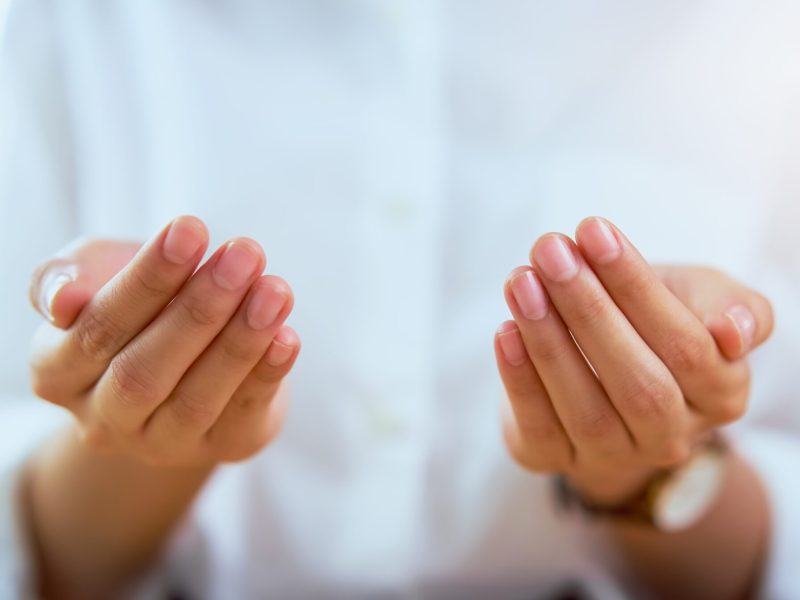 Close up of woman open hands and showing something.